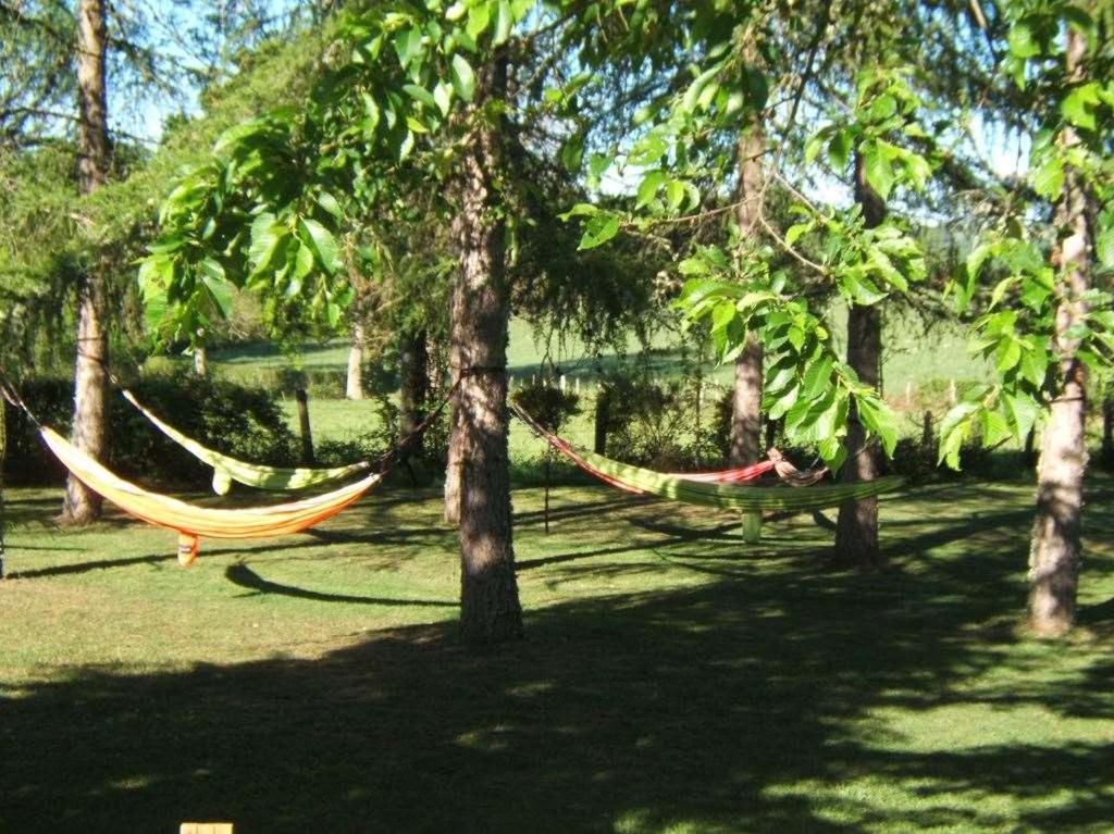 A L'Oree Du Parc Saint-Priest-des-Champs Екстериор снимка